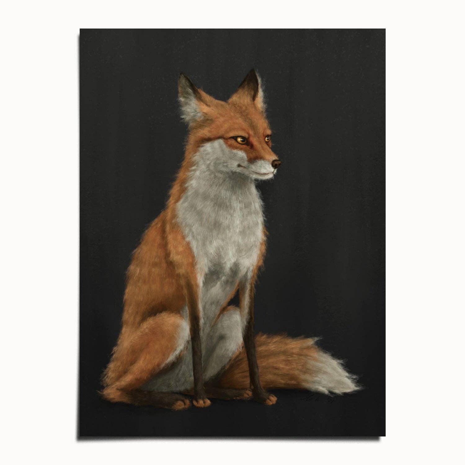 The Ugly Cat Studio - Wholesale Art Print - Red Fox Fine Art Print - Black Edition3