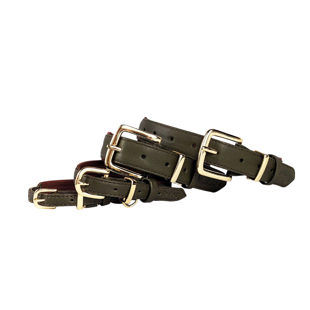 Le Dog Company - Wholesale Pet Collar - Dog - Padded Leather Collar10