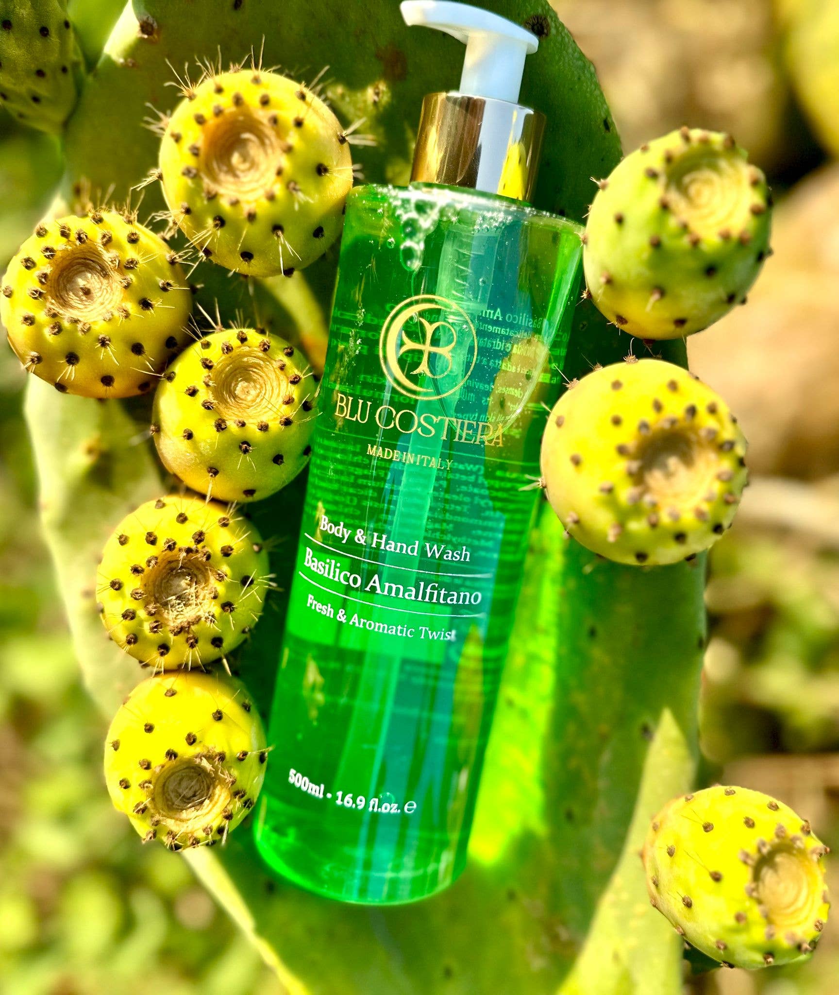 Blu Costiera – Großhandel Duschgel – Basilikum Amalfitano Körper- & Handwaschgel1