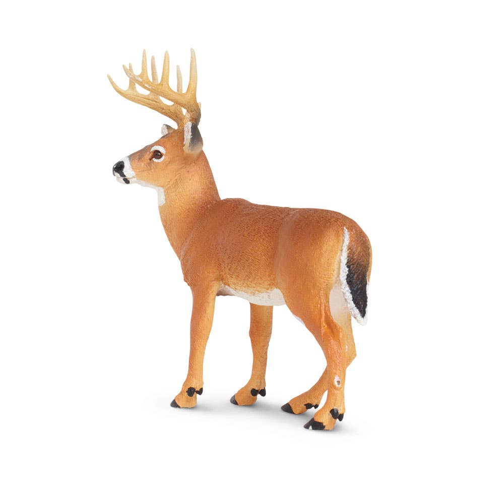 Safari Ltd. - Wholesale Figurine Toy - Kids - Whitetail Buck - 1800293
