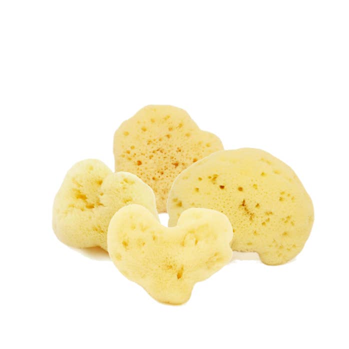 Extrasize Fine Lady blekt svamp 22/24 gr för wholesale av Cose Della Natura