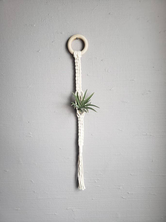 Air Plant Hanger Single - White for wholesale by Mother of Pearl Handmade Goods