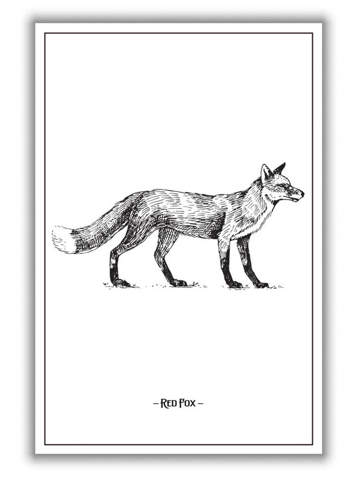 Röd Räv för wholesale av Stanley Print House