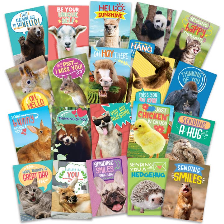 40 Funny Animal Postcards - Bulk Thinking of You Postcard for wholesale by T Marie