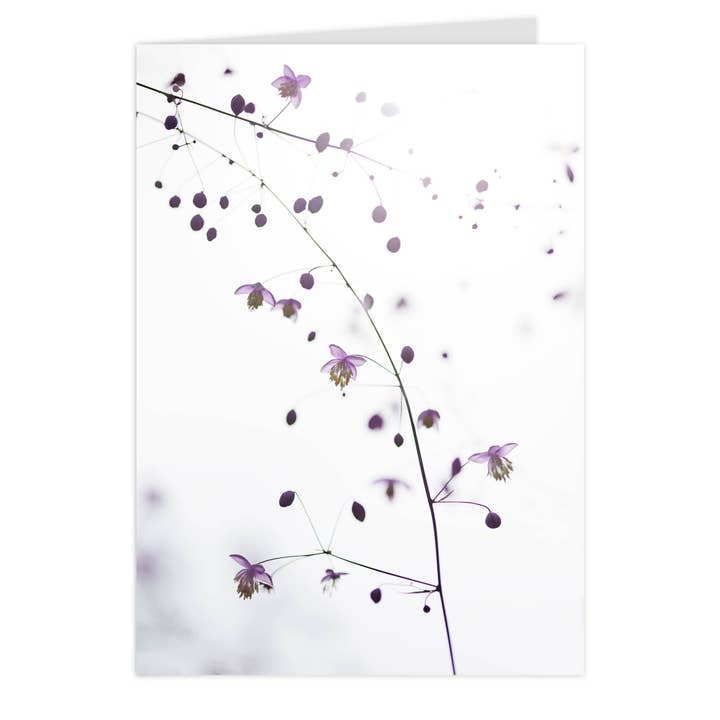 Carte pliable "Pigamon IV" pour la vente par paruspaper. nutzfeine papeterie