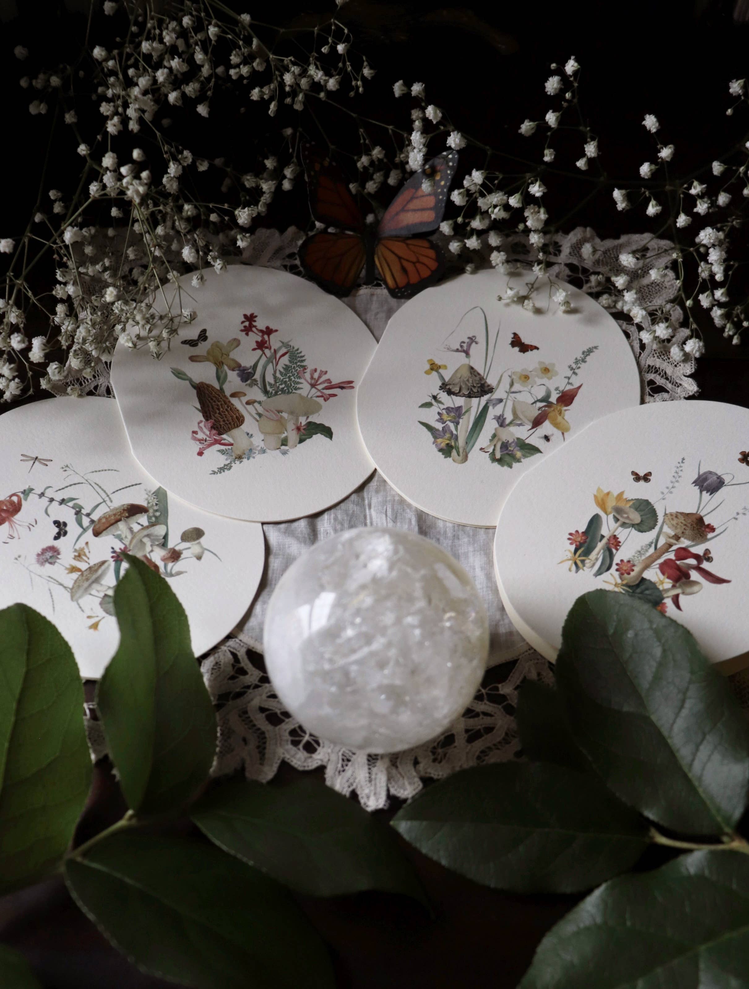 Open Sea - Wholesale Everyday Greeting Card - Tiny Kingdom 3 Greeting Card1