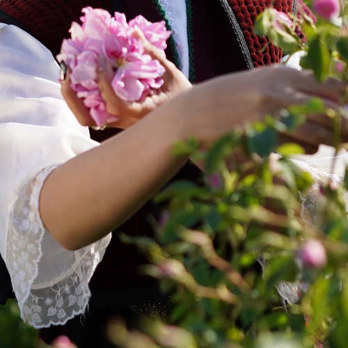 maijuni - Wholesale Face & Body Mist/Water - rosewater7