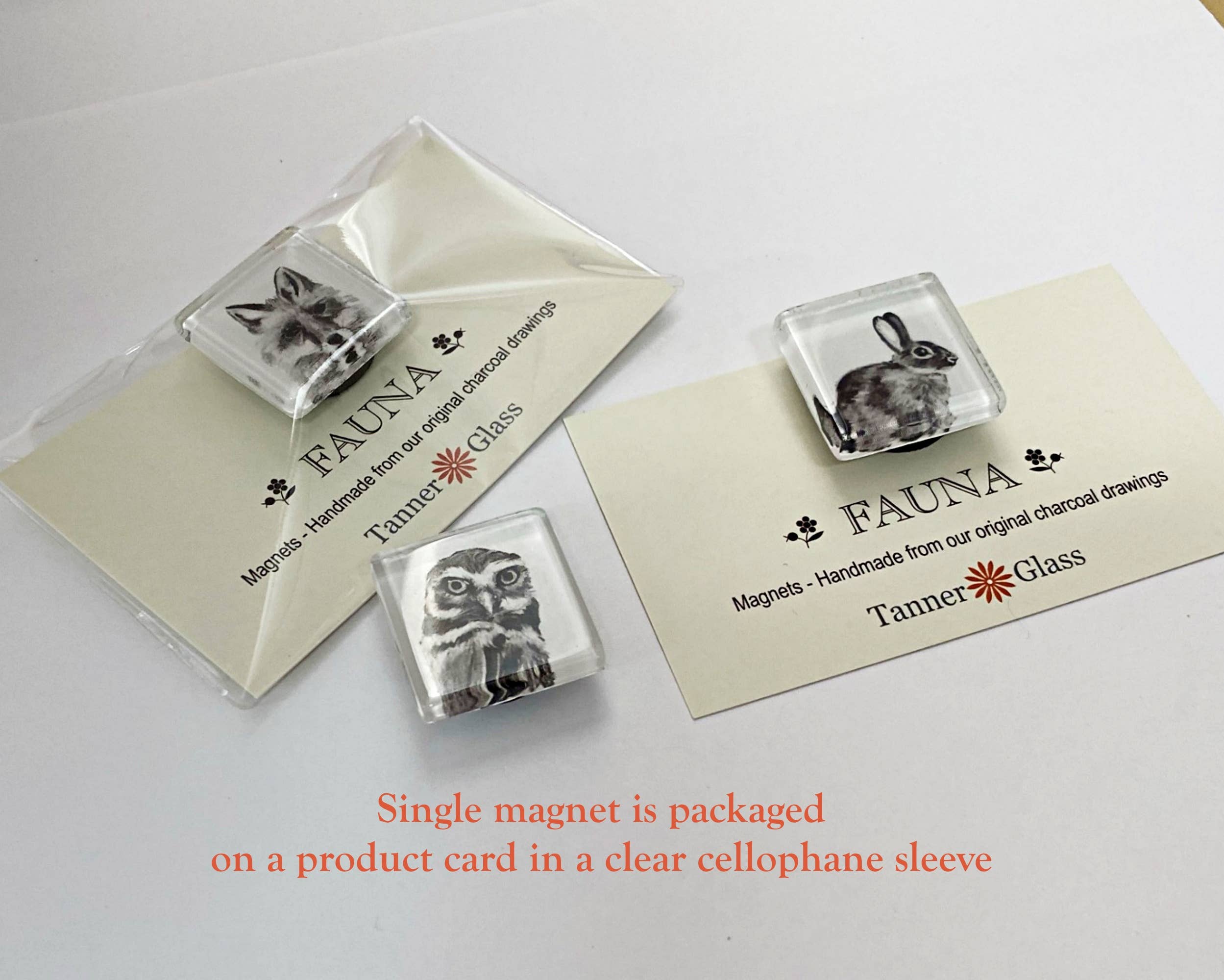 Tanner Glass - Wholesale Magnet - Magnets - Fauna Collection- 1" square, you choose the images2