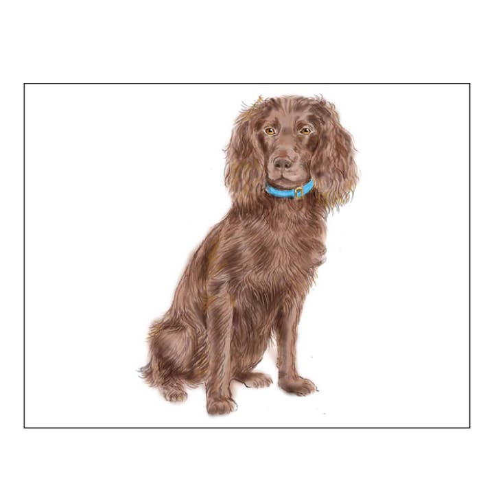 BOYKIN SPANIEL FOLDOVER NOTE CARDS for wholesale by Donovan Designs
