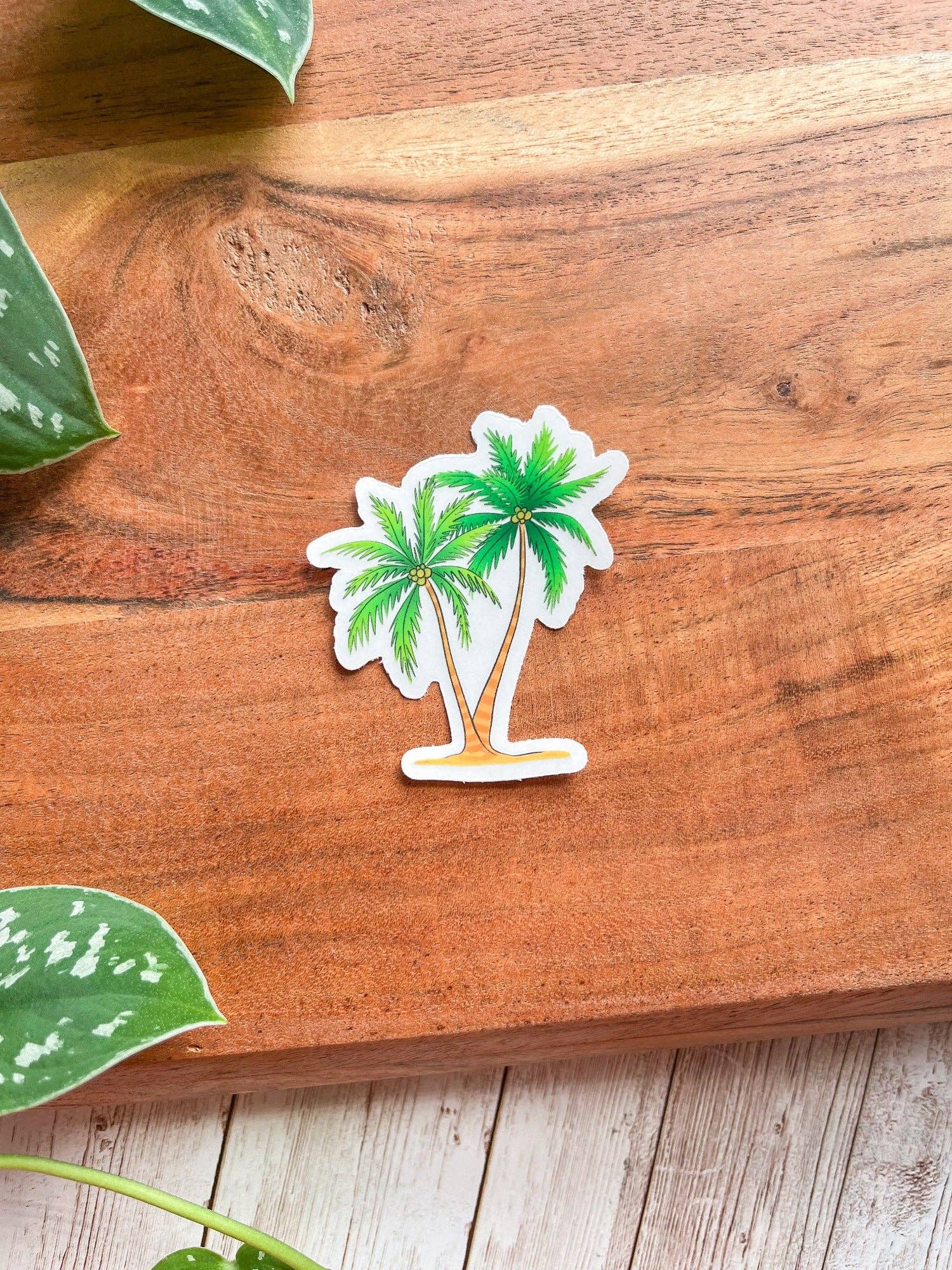 The Nosy Gal - Wholesale Sticker - Palmeras Waterproof Sticker2