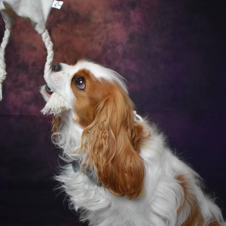 Stylidog - Wholesale Pet Plush Toy - Dog - Moune Rabbit-shaped dog toy handmade in France3