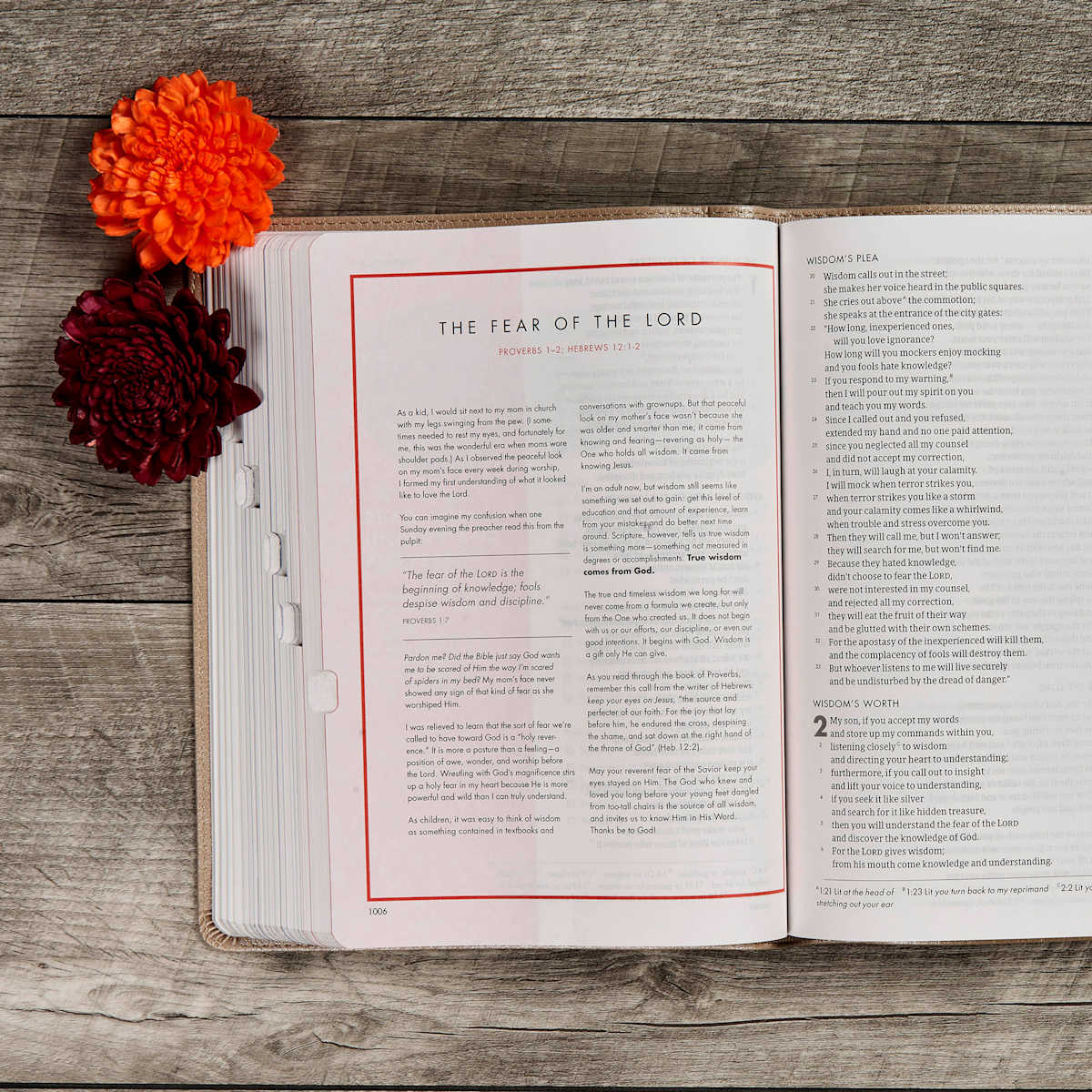 Lifeway - Wholesale Religion - CSB She Reads Truth Bible, Champagne Gold LeatherTouch9