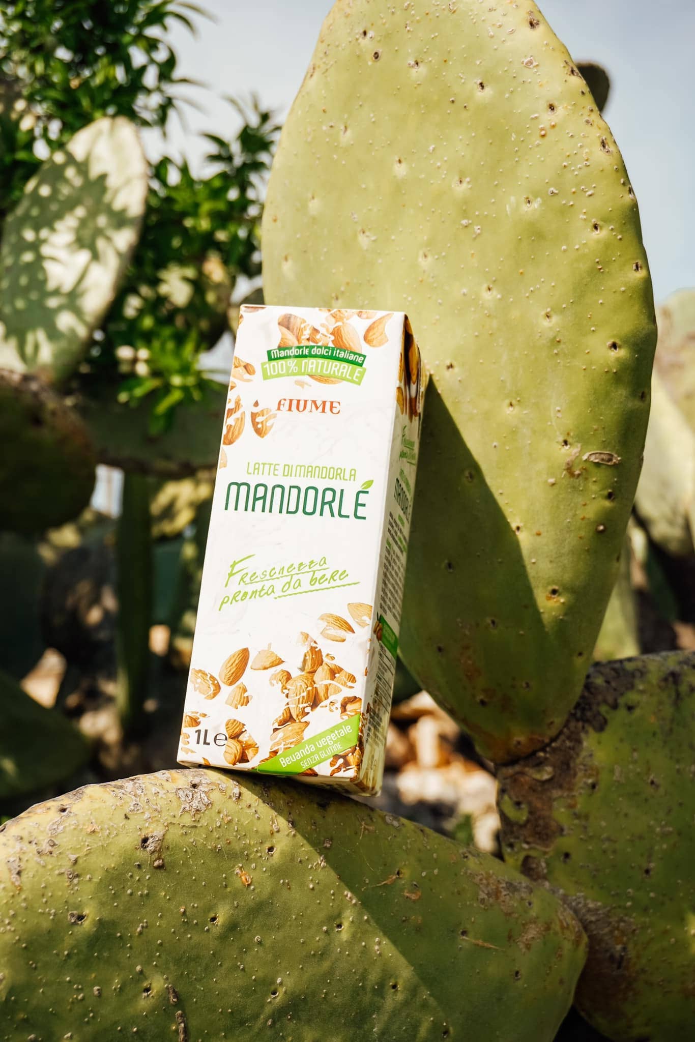 Licor srl Unipersonale - Vente Boisson végétale - Boisson d'amande sans gluten et sans lactose1