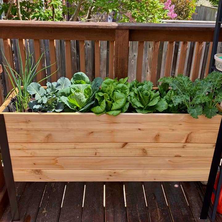 Cedar Planters - Wholesale Planter Box - 18" x 48" Raised Garden Bed9