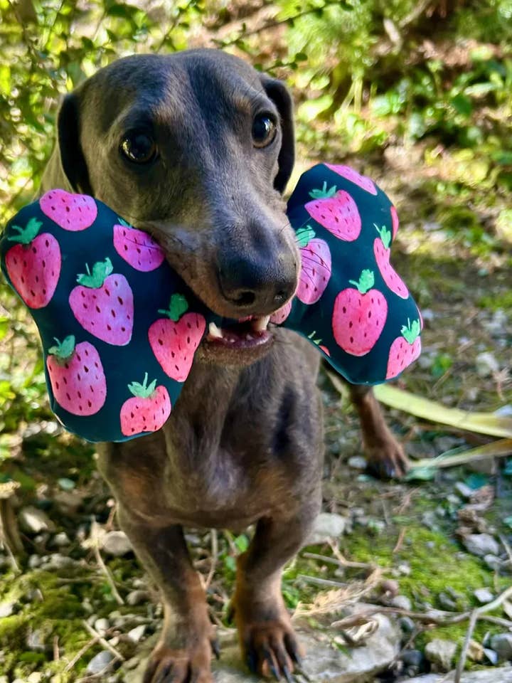 Nonos com som "pouic" - Brinquedo sonoro para cão por atacado de Leenia