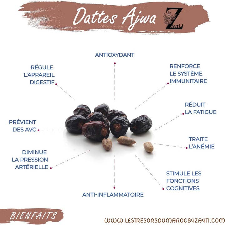 Zayti L.T.D.M - Wholesale Dried/Dehydrated Fruit - Premium Ajwa Dates Pitted 300G3