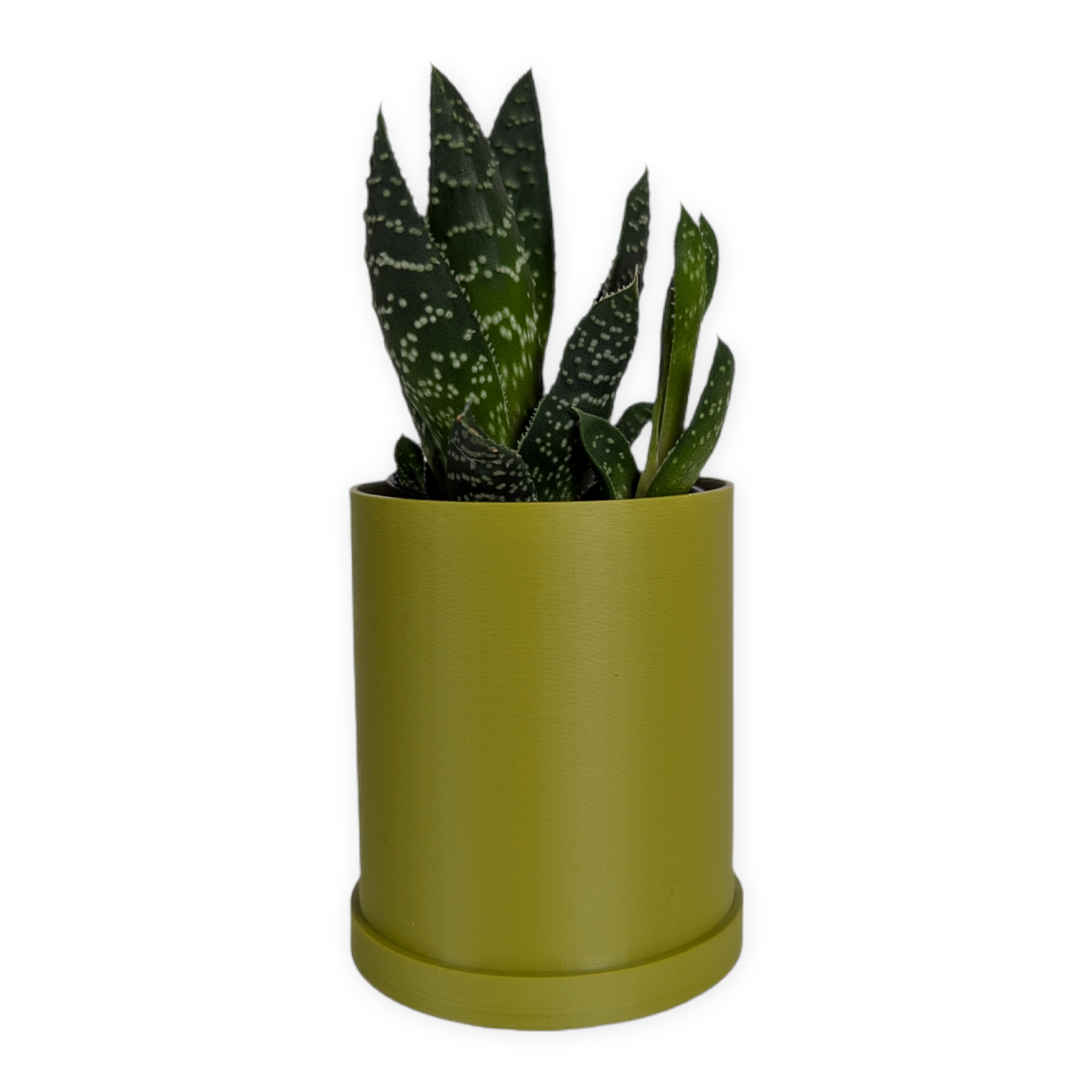 Leafprints.3d - Wholesale Plant Pot - The Pebble – 2 Inch Planter with Drip Tray16