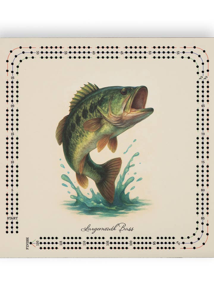 Stor Mundet Aborre - Fuld Farve - Cribbage Bræt 11 X 11 for engroshandel hos Dexsa