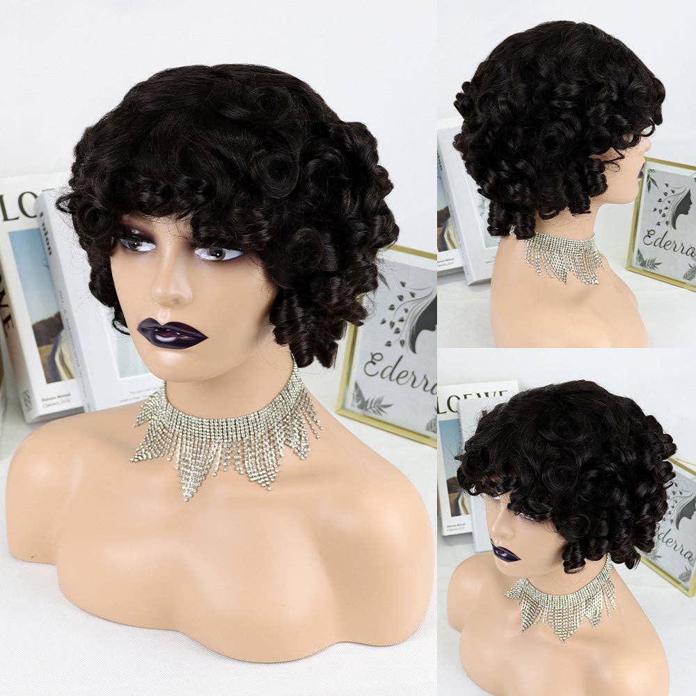   Natural Curly Human Hair Wig Collection for wholesale on Faire2