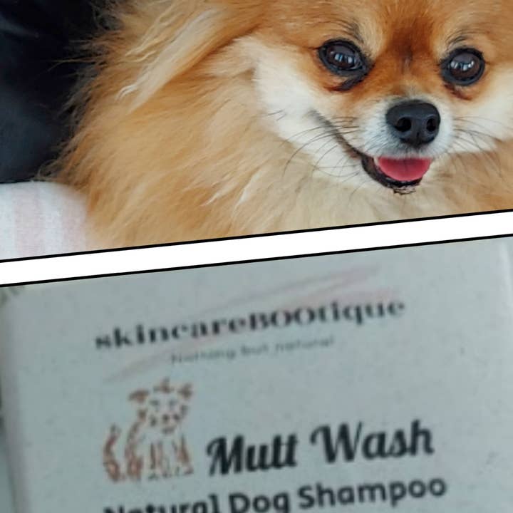 Le shampooing naturel pour chien à l'arbre à thé aide à prévenir les puces pour la vente par SkincareBOOtique