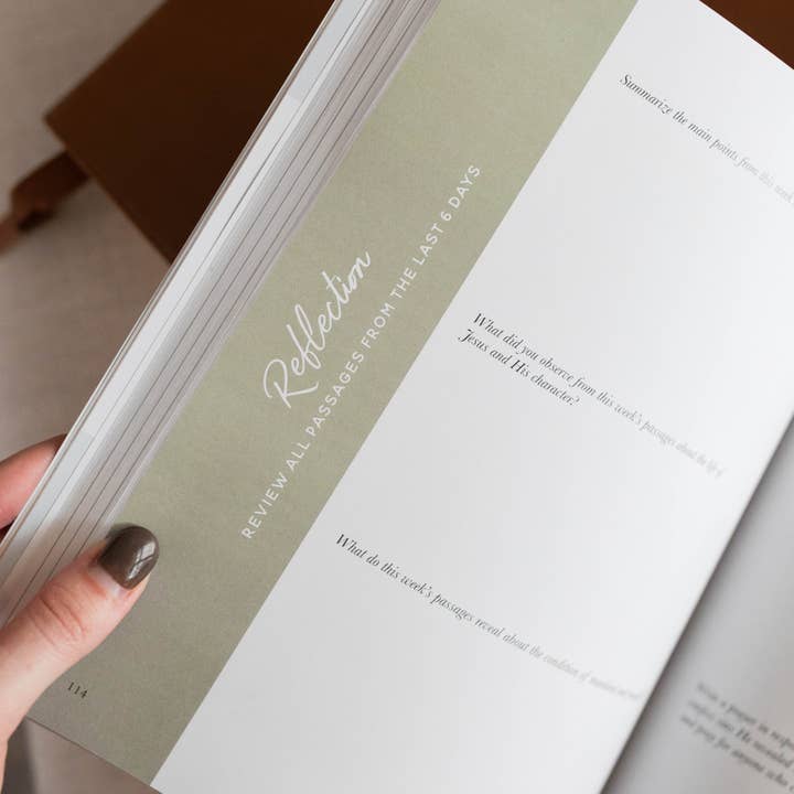 The Daily Grace Co - Wholesale Book - Adult - 40 Days with Jesus | A Study on the Life of Christ