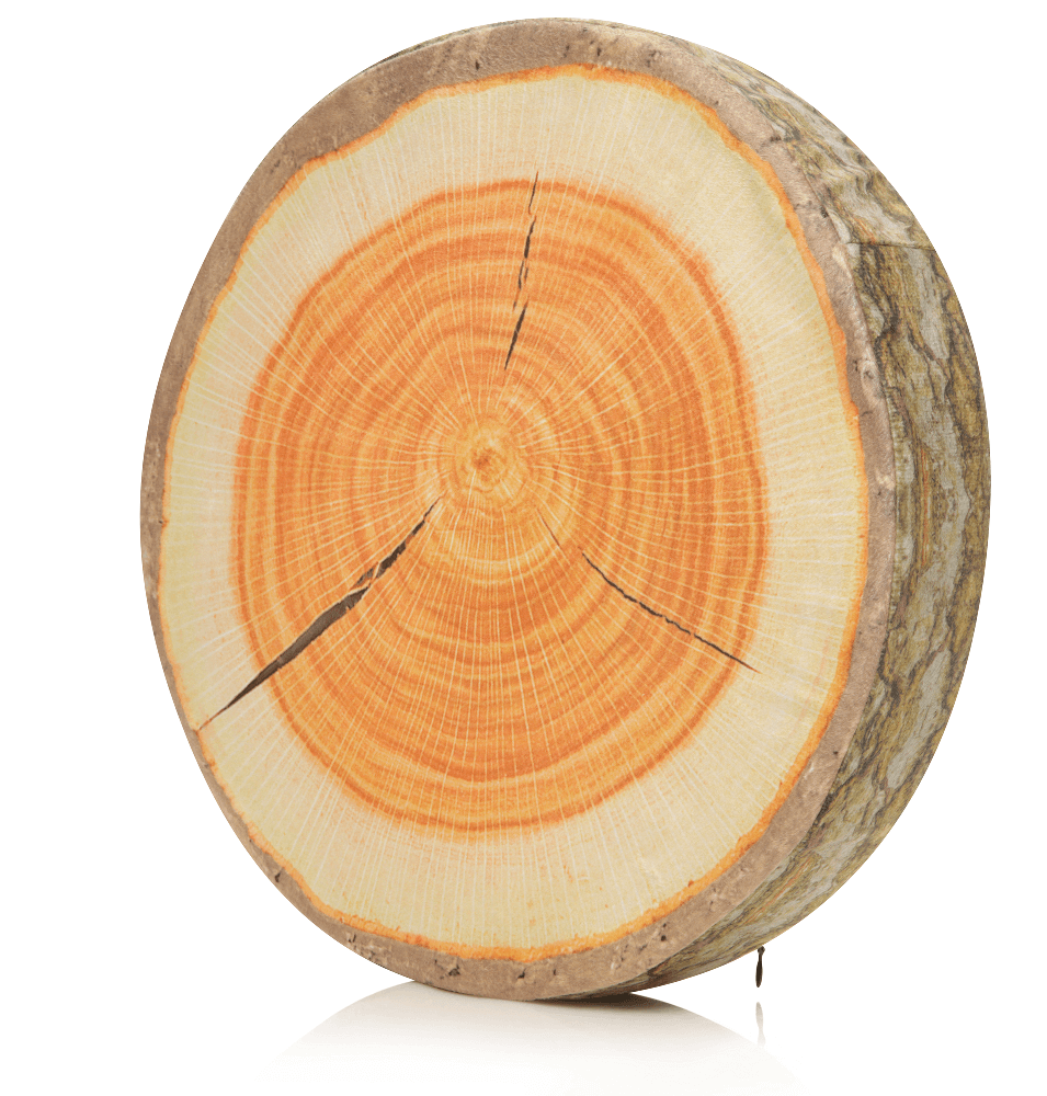 Husband Pillow - Vendita all'ingrosso Cuscini per letto - 360 - FETTA-REGISTRO-MAPL3