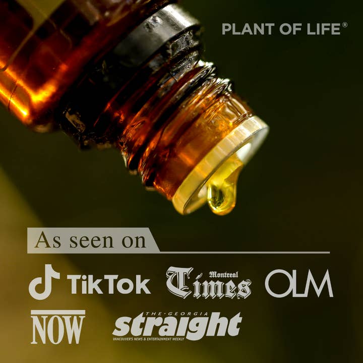 Plant of Life - Wholesale Essential Oil - Rosemary Essential Oil for Aromatherapy Hair, Skin, & Nails