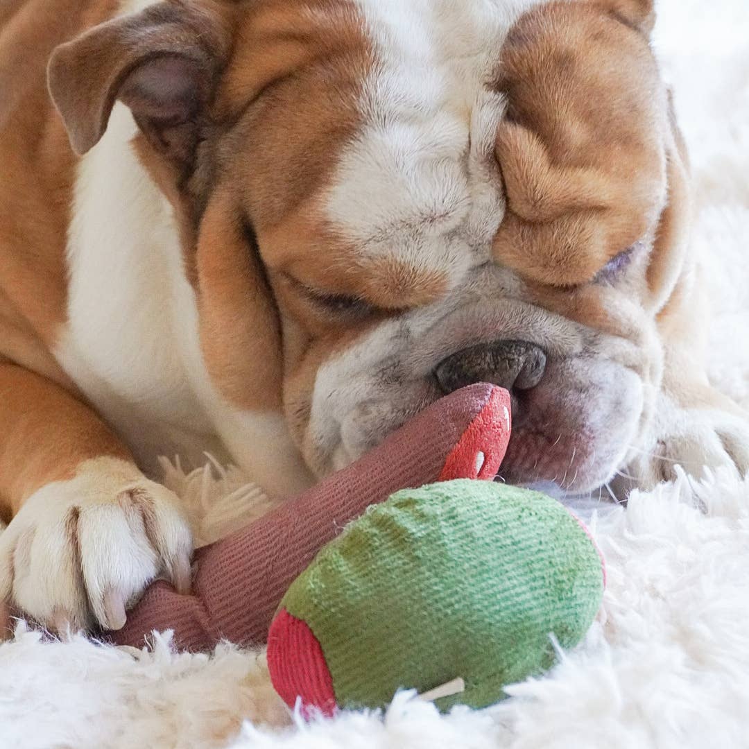 Lambwolf EU - Wholesale Pet Plush Toy - Dog - Olive + SALAMI//Enrichment Toy 3