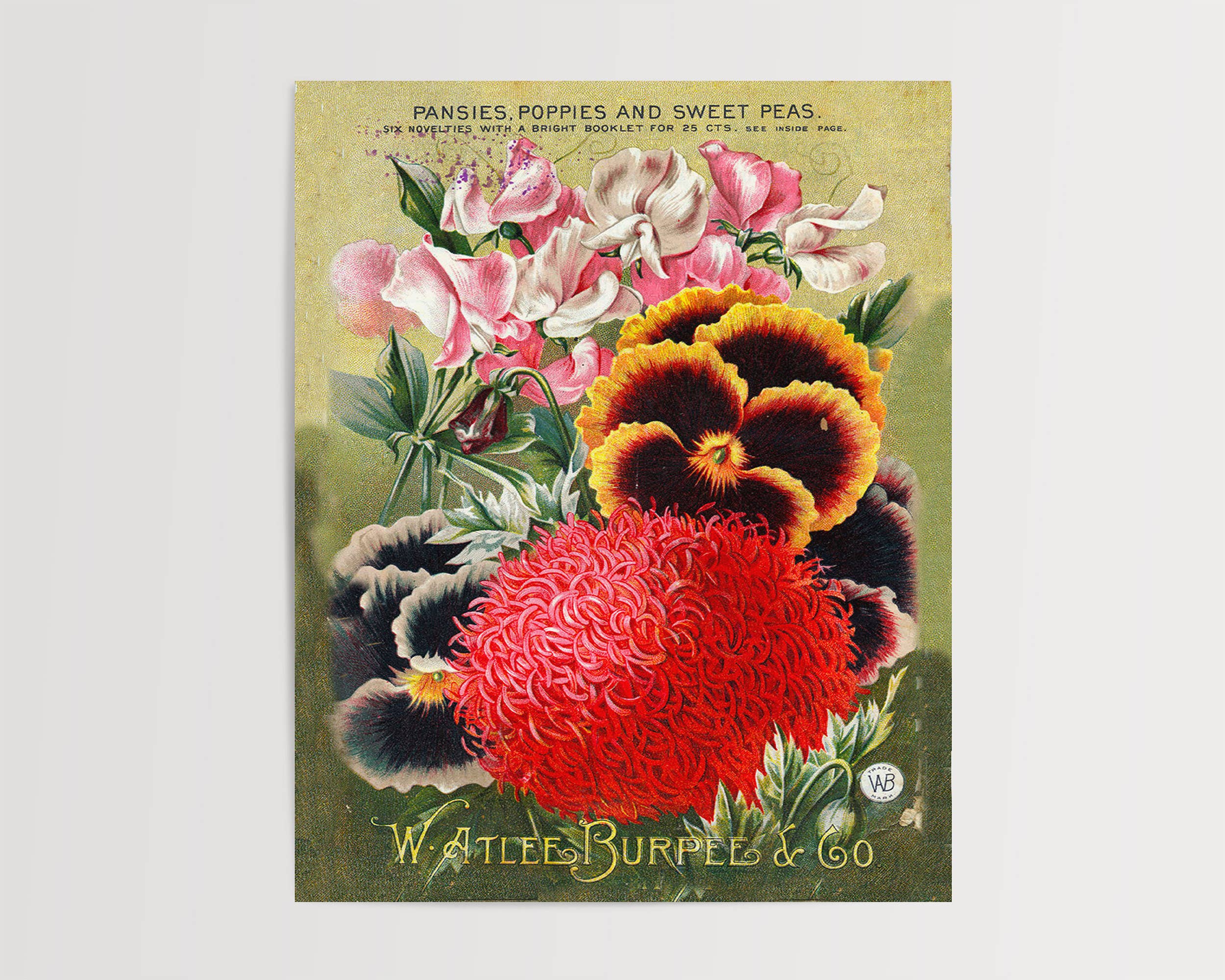 Swinford Designs - Wholesale Art Print - Vintage Seed Pack Art Print - Burpees Pansies Spring Decor1