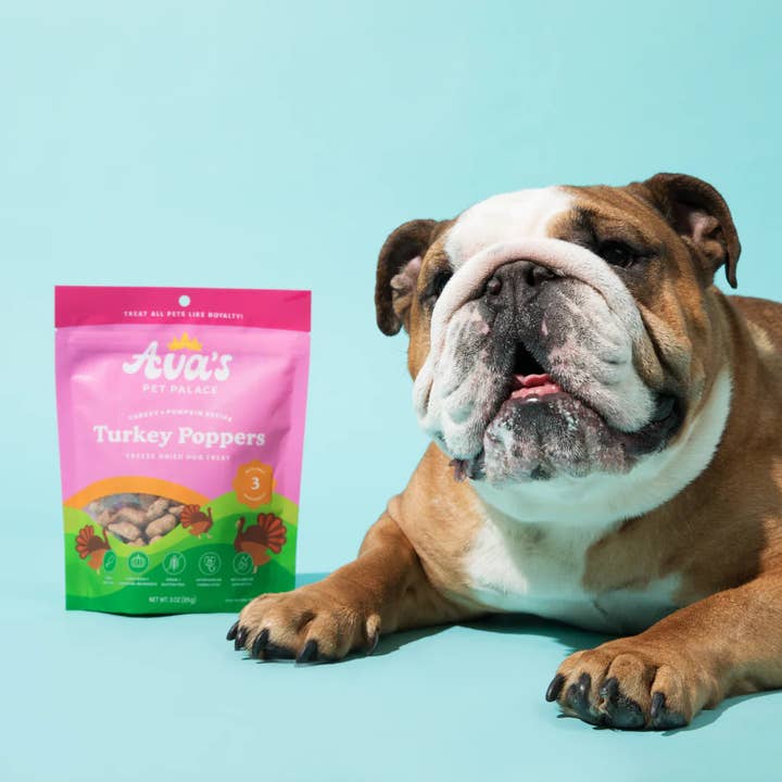 Jojo Modern Pets - Wholesale Pet Treats - Dog - Ava's Pet Palace Freeze Dried Dog Treats - Turkey Poppers
