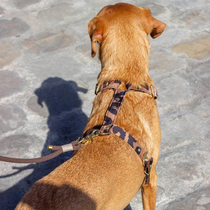 Atelier Markiz - Wholesale Pet Harness - Dog - Wild Harness5