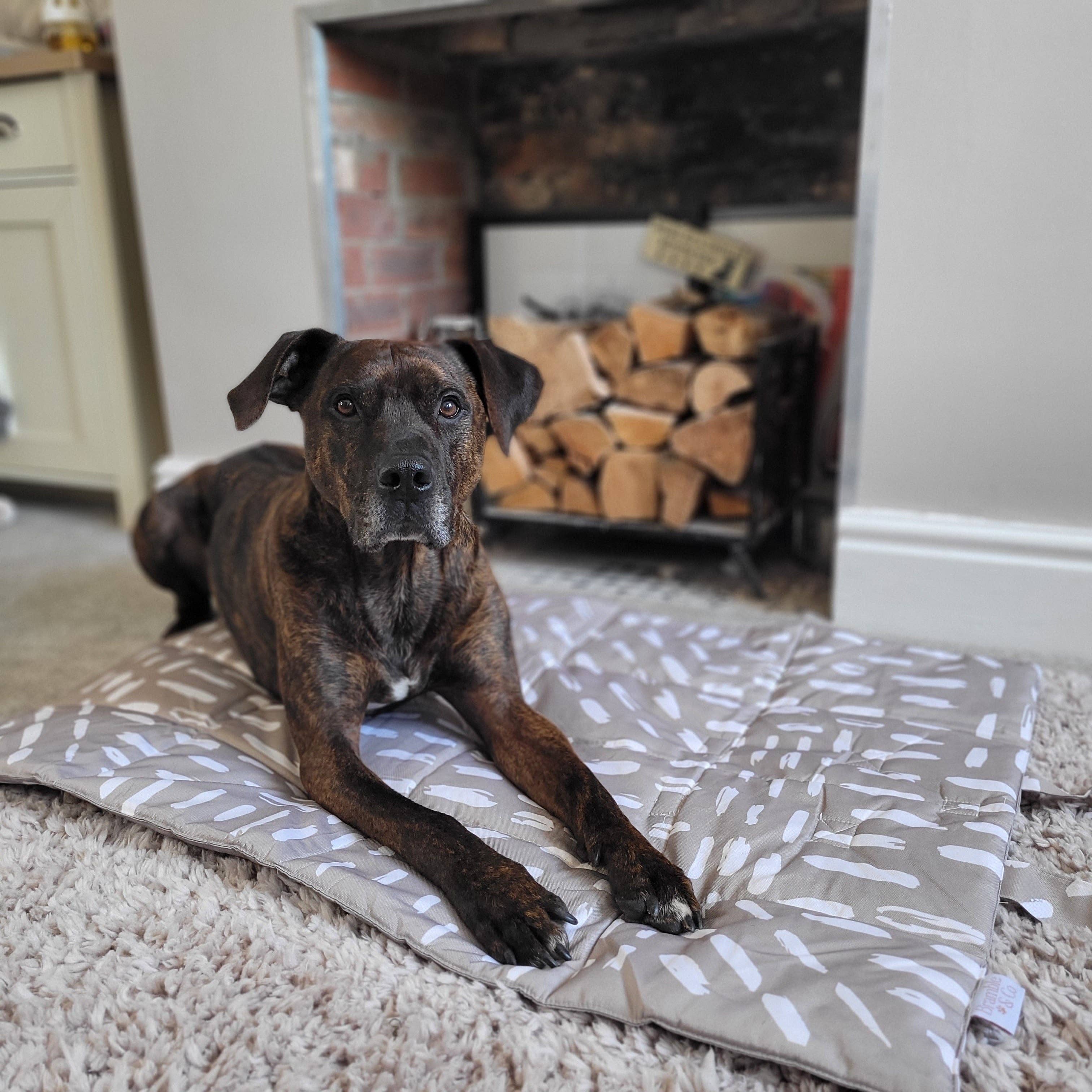 Bramble & Co - Venta al por mayor Esterilla - Perros - Alfombrilla de Viaje - La Neutralidad de los Sentimientos14