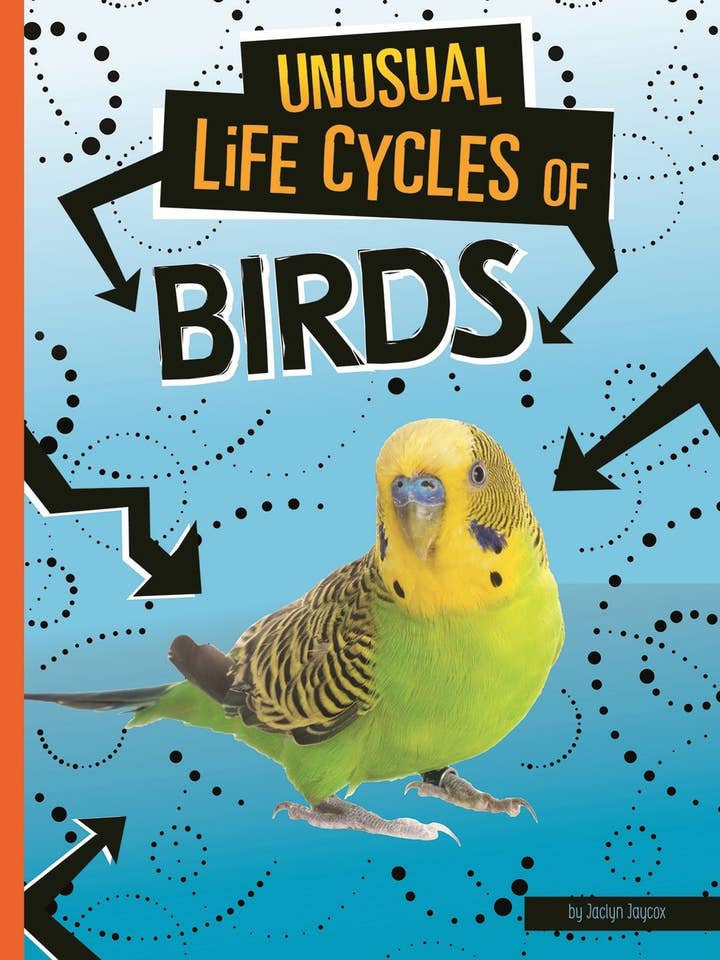 Cycles de vie inhabituels des oiseaux pour la vente par Capstone