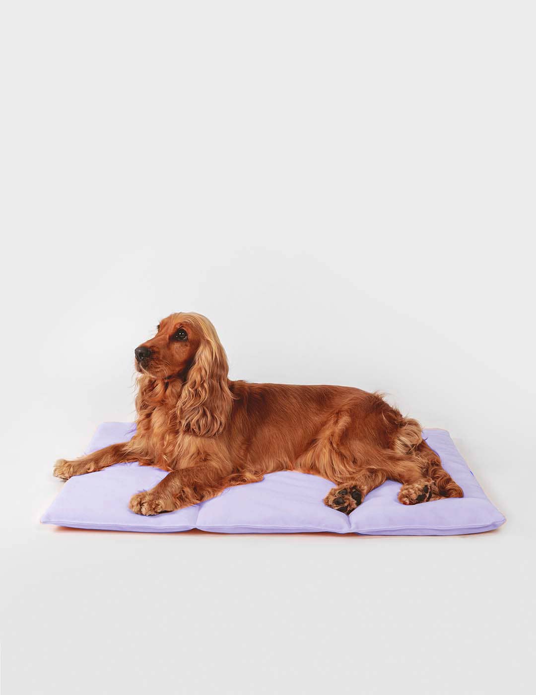 Qisu - Wholesale Pet Bed - Dog - Dog bed | Nomad Bed4