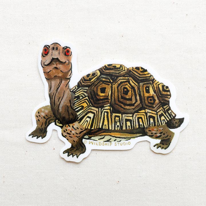 Box Turtle Sticker for wholesale by Wildship Studio
