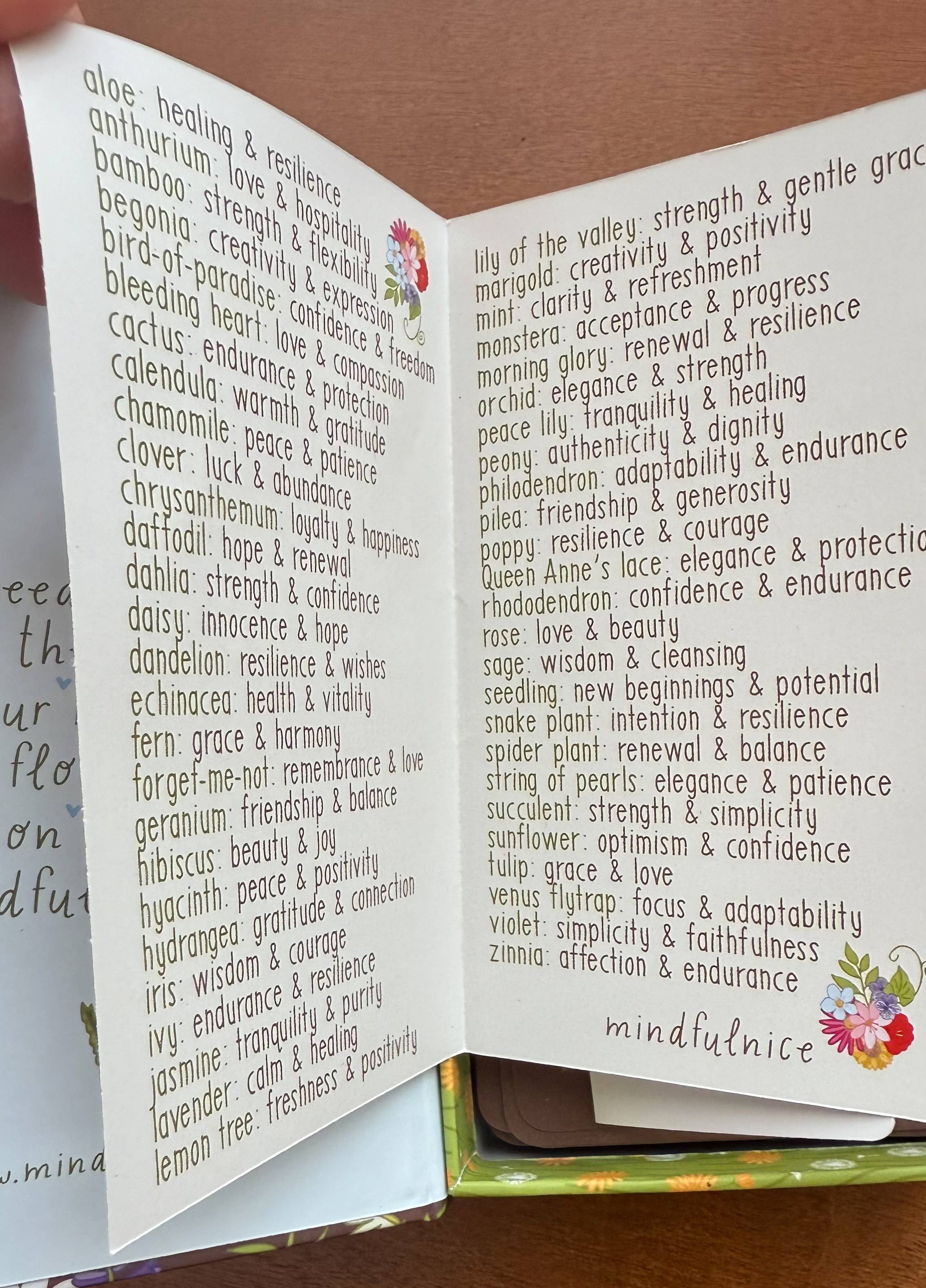 Mindfulnice - Wholesale Tarot Cards - Grow With The Flow Affirmation Cards to help you bloom3