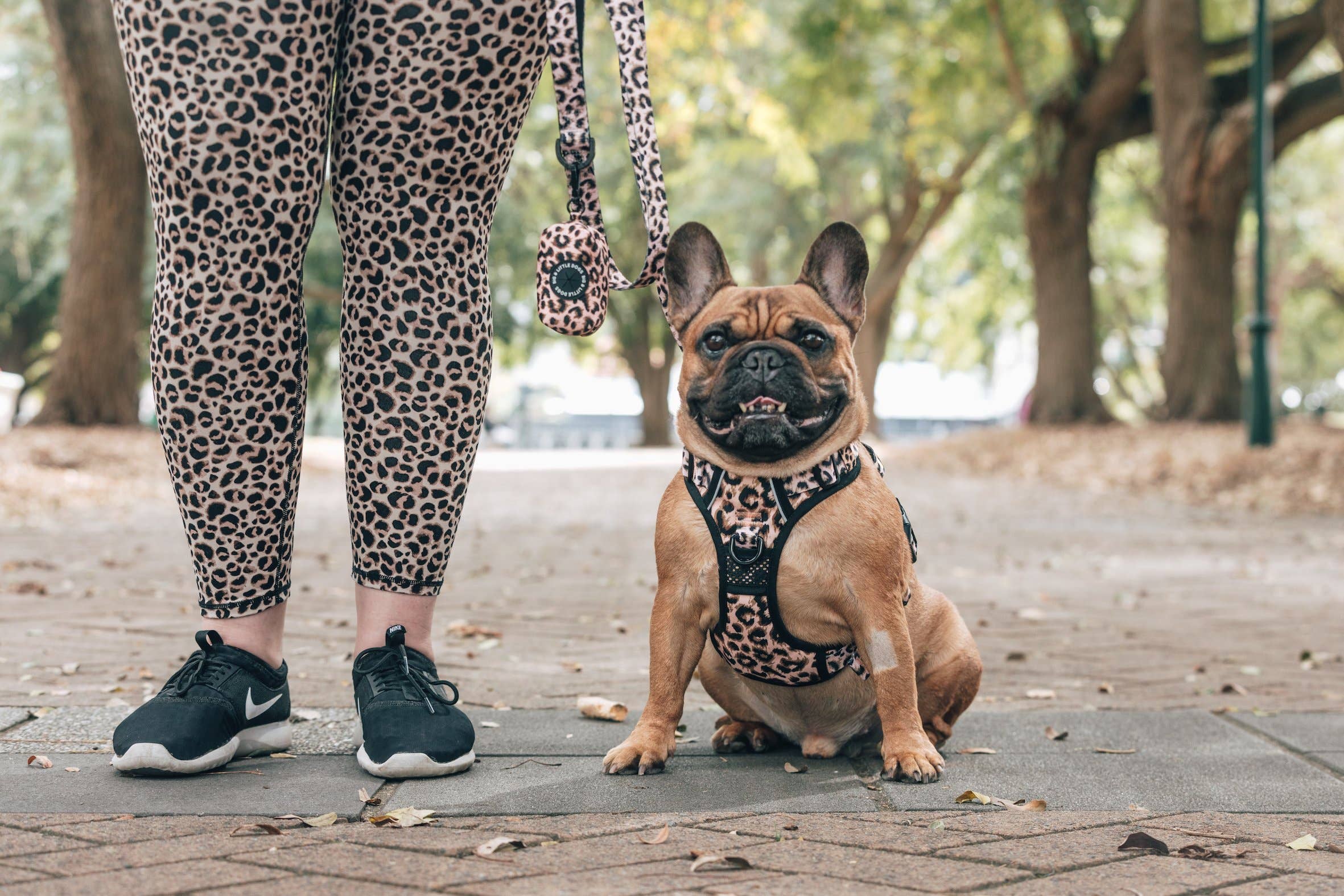 Big and Little Dogs – Engroshandel Kæledyrssele – Hund – Big and Little Dogs All-Rounder hundesele i luksuriøst leoparddesign2