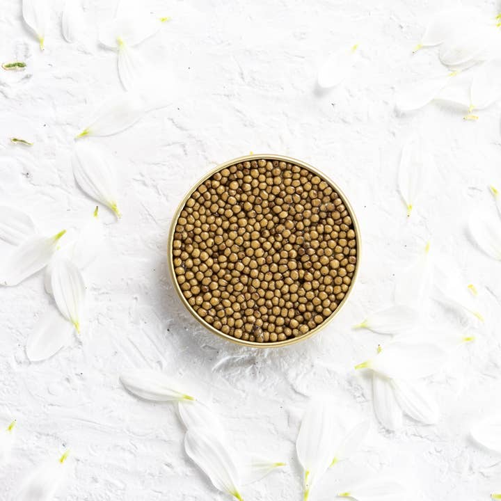 Antonius Caviar - Wholesale Fish/Seafood - Antonius Caviar: 6-star Oscietra 30g0