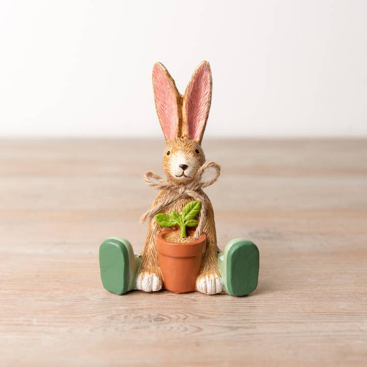 Plante d'intérieur Jasper Rabbit, 12 cm pour la vente par Gainsborough Giftware x Portland Living