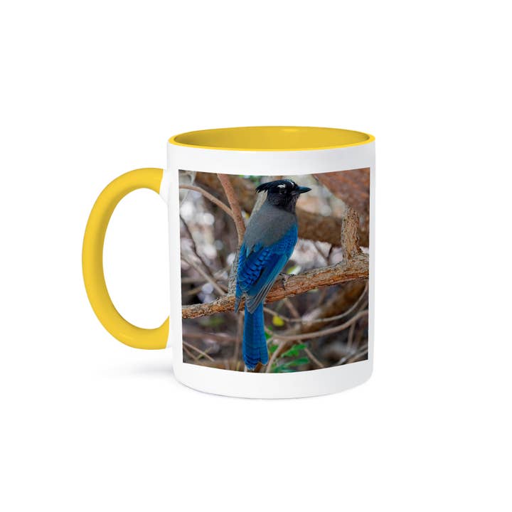 3dRose, Stellers Jay, Cyanocitta stelleri, Arizona, Mug and other Purchase Wholesale acqua stezzano. Free Returns & Net 60 Terms on Faire trending on Faire.