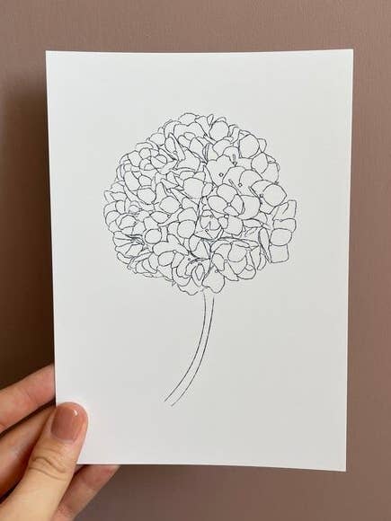 Hortensia skitseprint for engroshandel hos Daisy & Joy Design