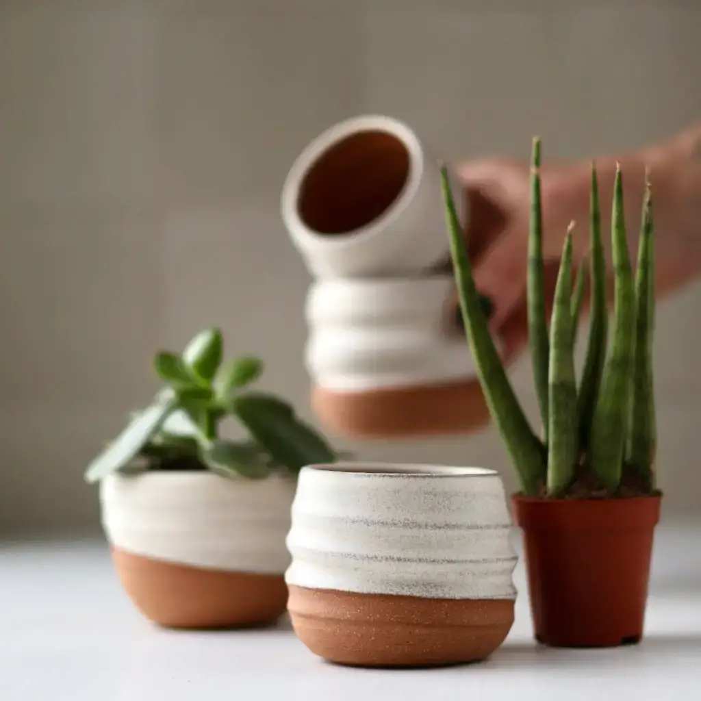 Gravesco Pottery - Wholesale Plant Pot - Assorted Small Planter Pots | 2 inch handmade ceramic4