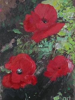 Poppies for wholesale by Lizzy Forrester Fine Art