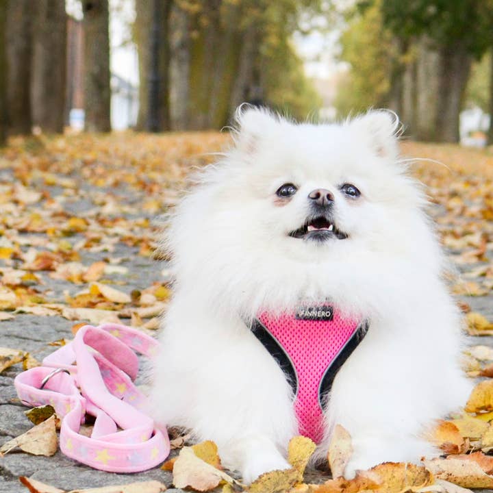 FINNERO - Wholesale Pet Harness - Dog - FINNERO LIGHT Reflective Harness For Pets, 4 Colors4