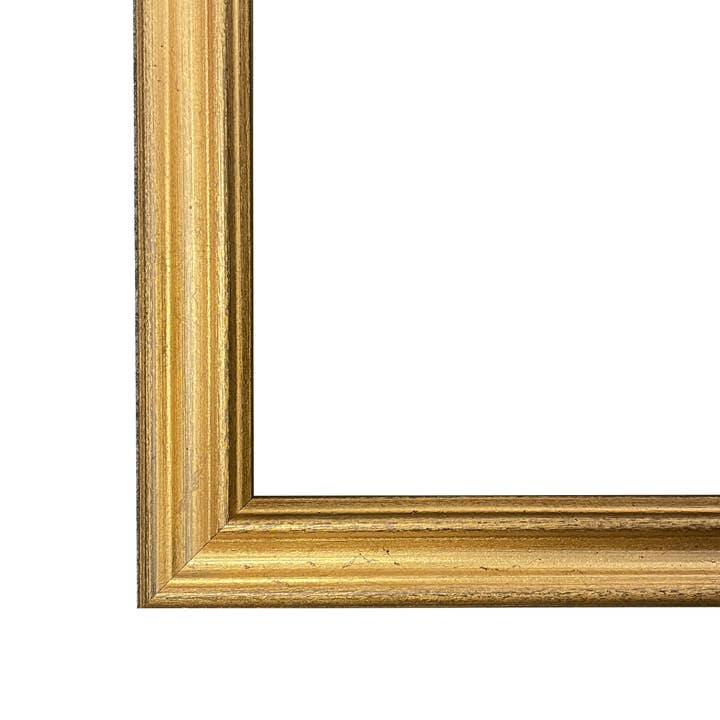 Madison Bay Co. - Historical Home Decor Reproductions - Wholesale Art Print - Rosa Gallica Pontiana Bridge Rose Vintage Illustration Print3