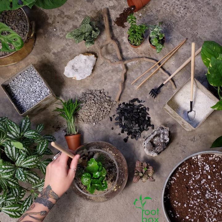 RootBox - Wholesale DIY Craft Kit - RootBox™ Large Plant Terrarium Kit in scented giftbox2