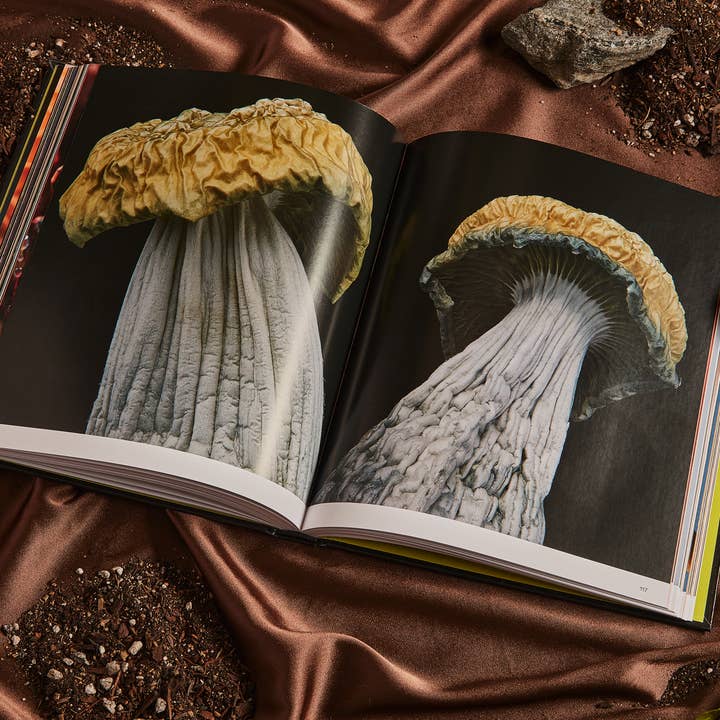 Broccoli – wholesale Book – Adult – Spores: Magical Mushroom Photography Book