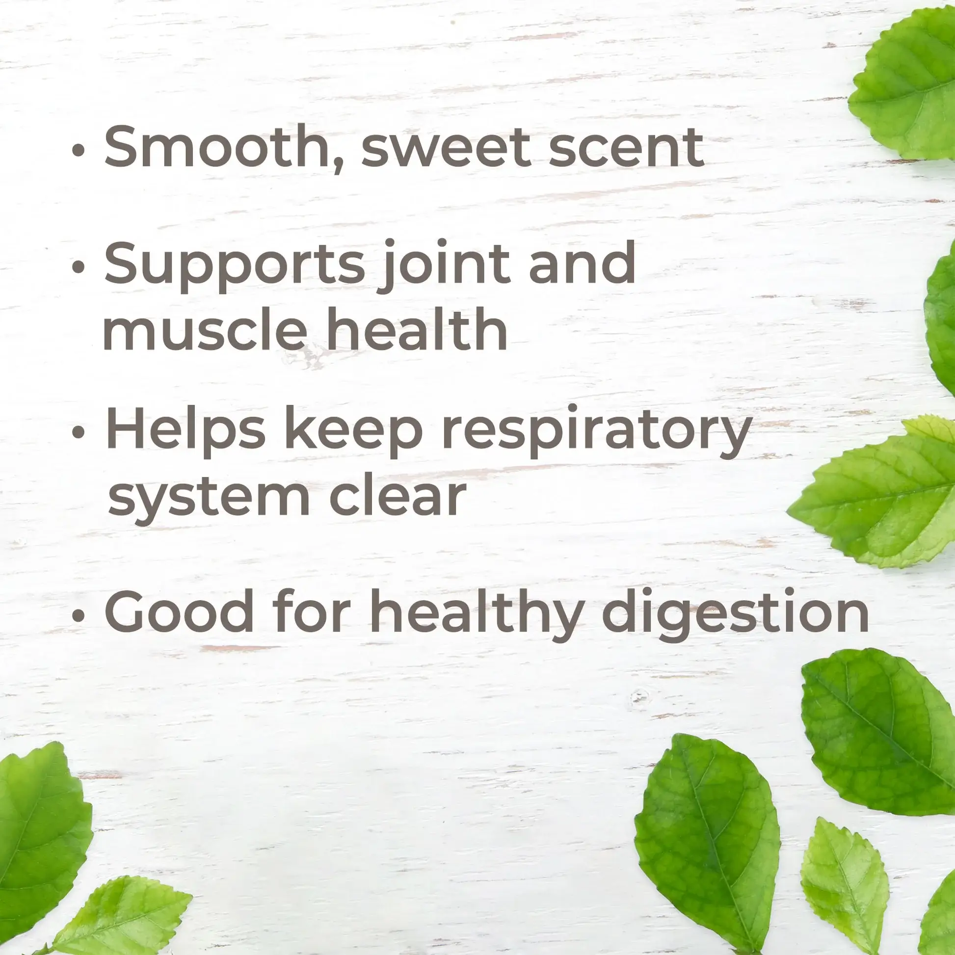 Plant Therapy - Wholesale Essential Oil - Organic Copaiba Oleoresin 30 mL2