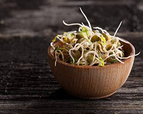 Food To Live - Vente Légumineuses - Lentilles vertes françaises biologiques — sans OGM, végétaliennes, casher, en vrac4