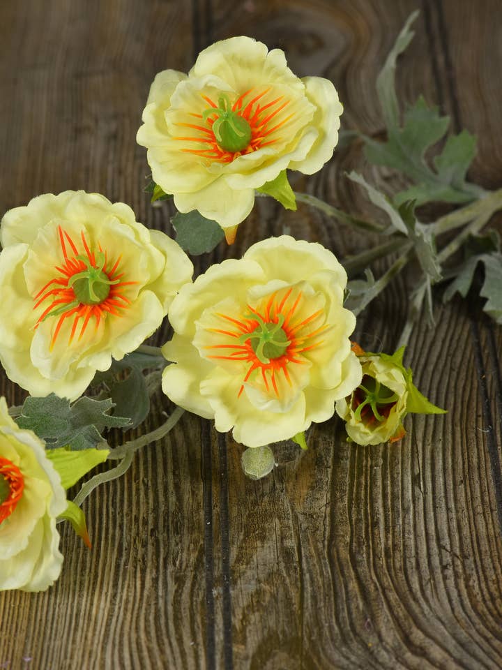 Cream Poppy Pick 32in for wholesale by Wholesale Home Decor